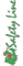 Linea